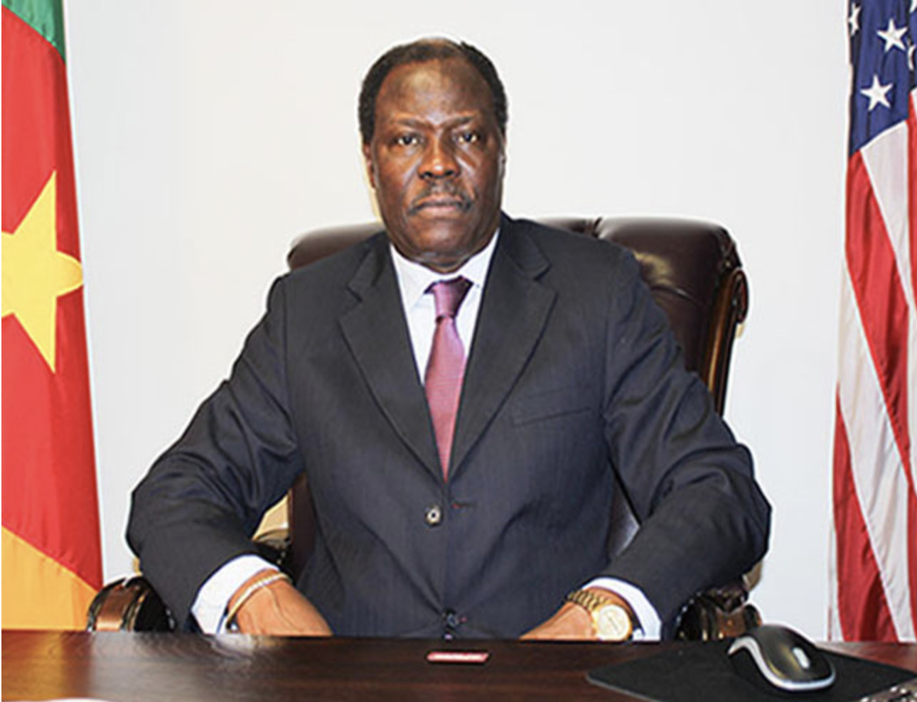 Cameroon Embassy In Washington DC USA